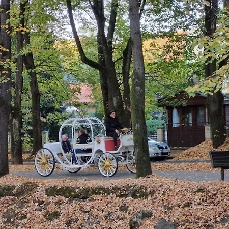 Apolon Vrnjacka Banja