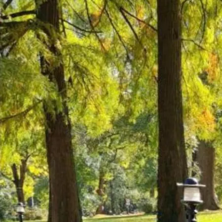 Appartement Apolon Vrnjačka Banja