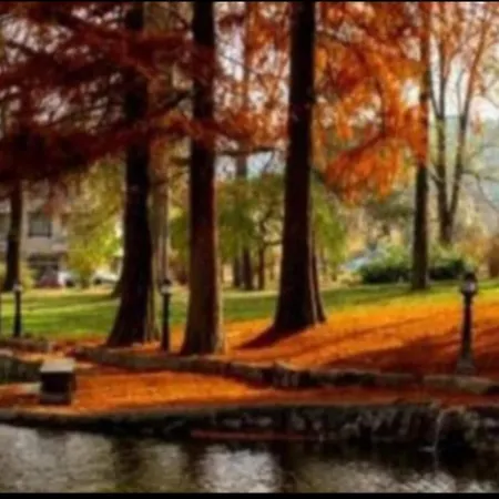 Apolon Appartement Vrnjačka Banja