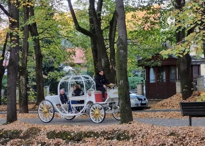 Apolon Vrnjačka Banja